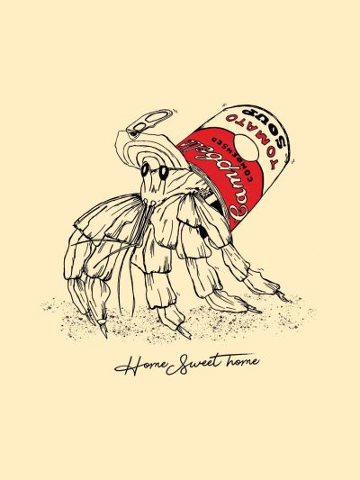 T-shirt femme ''Home Sweet Home''