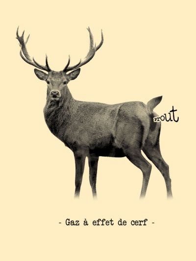 T-shirt femme ''Gaz à effet de cerf''