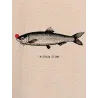 T-shirt femme "Poisson Clown"
