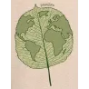 T-shirt femme "Plan(è)te feuille"