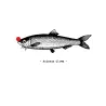 T-shirt homme ''Poisson Clown''