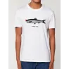 T-shirt homme ''Poisson Clown''