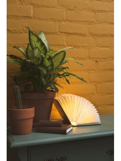 Livre lampe pliante L