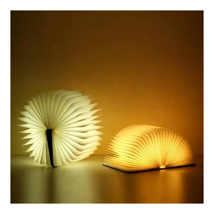 Livre lampe pliante