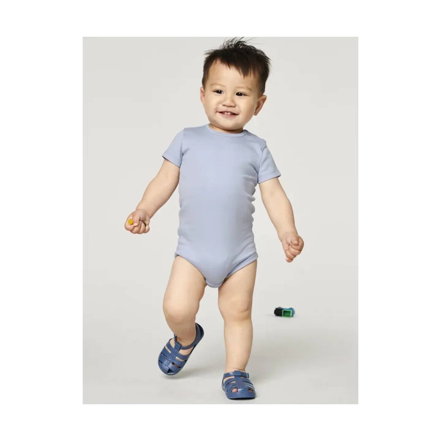 Bodys