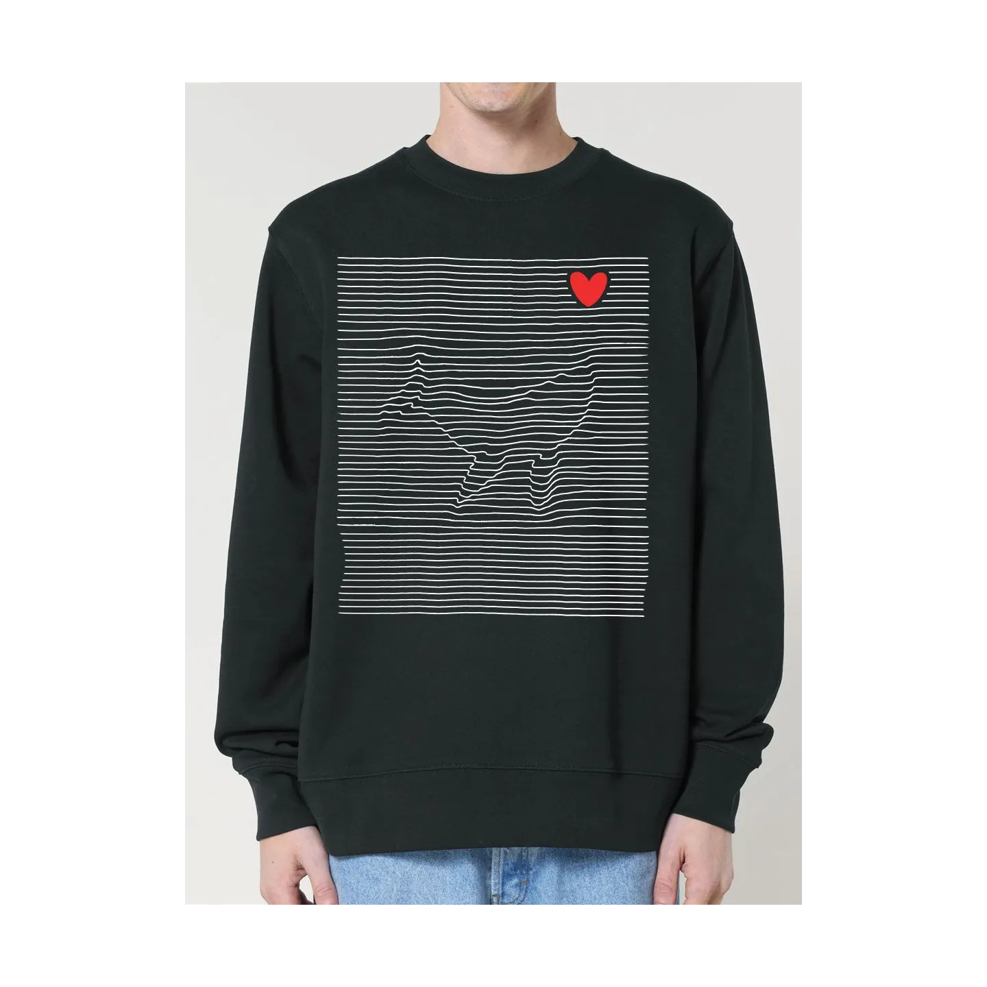 Sweat homme ''BALEINE MARINIERE''