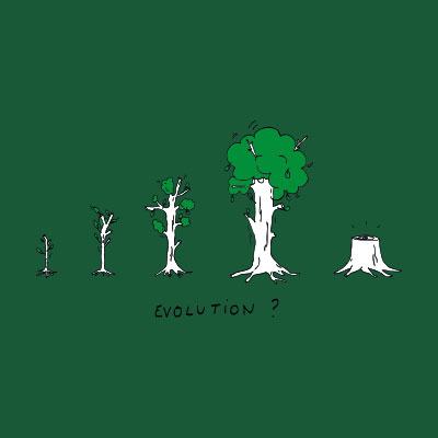 evolution.jpg