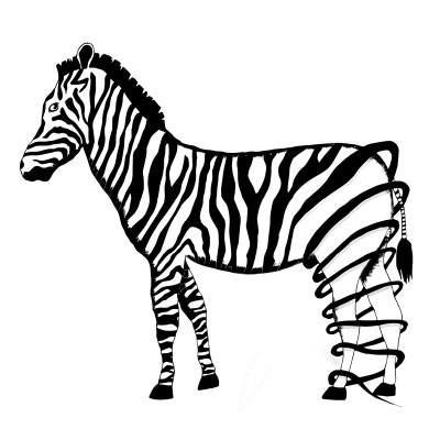 zebre.jpg